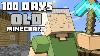 100 Days Old Minecraft