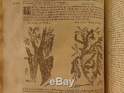 1579 Mattioli HERBAL Illustrated Botany Materia Medica Medicine Dioscorides