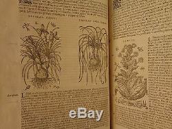 1579 Mattioli HERBAL Illustrated Botany Materia Medica Medicine Dioscorides