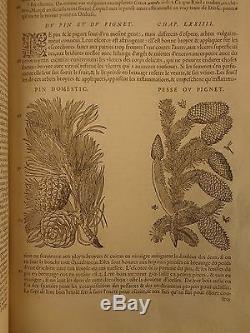 1579 Mattioli HERBAL Illustrated Botany Materia Medica Medicine Dioscorides