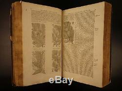 1579 Mattioli HERBAL Illustrated Botany Materia Medica Medicine Dioscorides