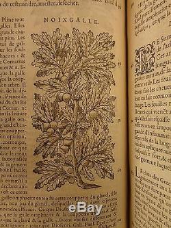 1579 Mattioli HERBAL Illustrated Botany Materia Medica Medicine Dioscorides