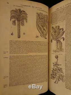 1579 Mattioli HERBAL Illustrated Botany Materia Medica Medicine Dioscorides