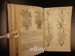 1597 1st John Gerarde Herball Plants English Herbal Illustrated Stirpium Botany