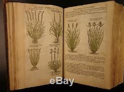 1597 1st John Gerarde Herball Plants English Herbal Illustrated Stirpium Botany