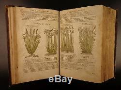 1597 1st John Gerarde Herball Plants English Herbal Illustrated Stirpium Botany