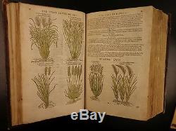 1597 1st John Gerarde Herball Plants English Herbal Illustrated Stirpium Botany