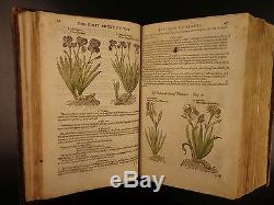 1597 1st John Gerarde Herball Plants English Herbal Illustrated Stirpium Botany