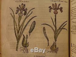 1597 1st John Gerarde Herball Plants English Herbal Illustrated Stirpium Botany