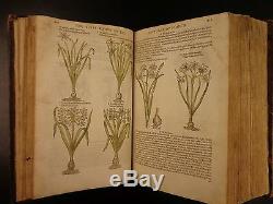 1597 1st John Gerarde Herball Plants English Herbal Illustrated Stirpium Botany