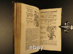 1680 HERBAL Medicine Pharmacology Bauhin Plants Botany Remedies Apothecary Opium