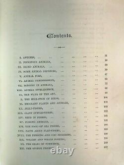 1st Edition Science Gleanings In Many Field by John Gibson 1884