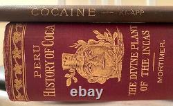 2 anesthesia history surgery cocaine H KNAPP MORTIMER PERU HISTORY OF COCA INCAS