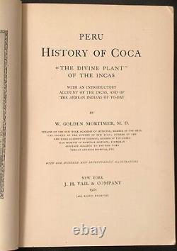 2 anesthesia history surgery cocaine H KNAPP MORTIMER PERU HISTORY OF COCA INCAS