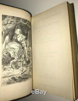 ALICE IN WONDERLAND, THROUGH THE LOOKING GLASS! (FIRST EDITION/PRINTING!)1872 wade