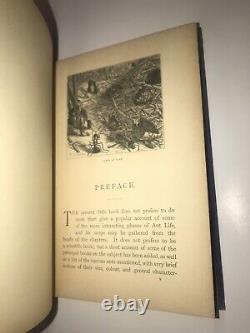 ANT! Insects FIRST EDITION ORIGINAL BINDING GIFT NATURE INSECTS 1898 Ants