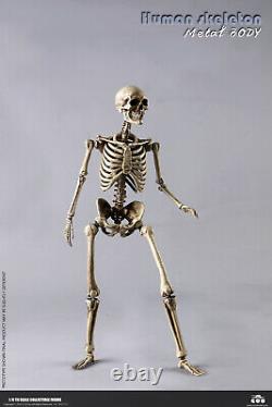 COOMODEL 16 Model Skeleton Body Skull Set Action Figure Doll Collection BS011