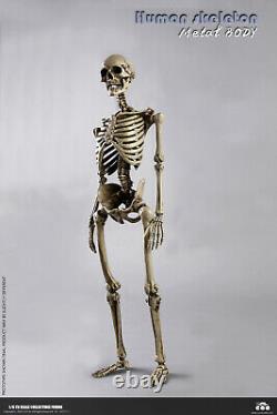 COOMODEL 1/6 Human Skeleton Body & Skull Model 12'' Flexible Action Figure Toys