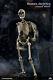 Coomodel 1/6 The Human Skeleton Withbrain Metal Body Bs011 Poseable 12'' Figure