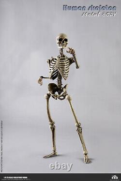COOMODEL BS011 1/6 The Human Skeleton Metal Body Movable 12'' Figure With Brain