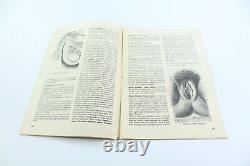 EROS Turkish Sexology Fascicle 1970s LOT OF 39 Erotica SEXUAL SCIENCE