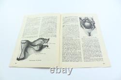 EROS Turkish Sexology Fascicle 1970s LOT OF 39 Erotica SEXUAL SCIENCE