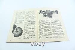 EROS Turkish Sexology Fascicle 1970s LOT OF 39 Erotica SEXUAL SCIENCE