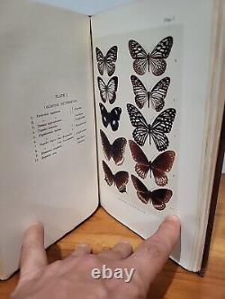 Mimicry In Butterflies Punnett 1915 First Edition Illustrated Plates Cambridge