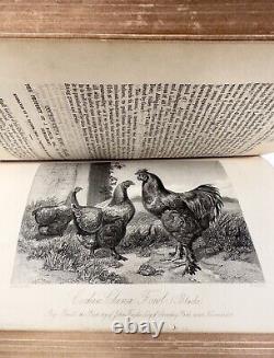 SCARCE First Edition The Sporting Review Vol. 1-2, 1853 Rogerson & Tuxford