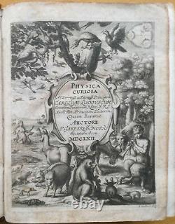 Schott Physica curiosa Monster Angel Demon 2 Vol. 57 Plates 1st. Edition 1662