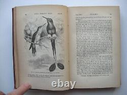 THE DESCENT OF MAN Volume II Charles Darwin HC 1871 1st American Edit ILLUS -8