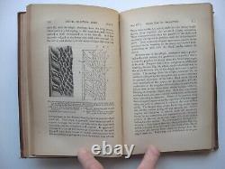 THE DESCENT OF MAN Volume II Charles Darwin HC 1871 1st American Edit ILLUS -8