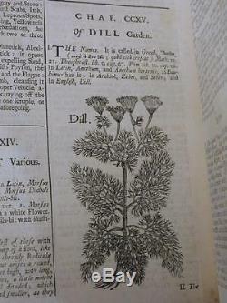 THE ENGLISH HERBAL 1710 History Plants Botany ANCIENT Antique WOODCUTS Salmon