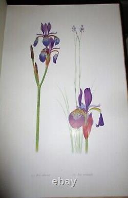 The Genus Iris By William Rickatson Dykes Cambridge 1913 47 Color Plates Folio