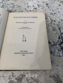 Whitetailed Deer by William Monupeny Newsom 1926 First edition Signed