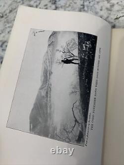 Whitetailed Deer by William Monupeny Newsom 1926 First edition Signed