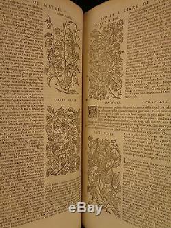 1579 Mattioli Herbes Illustrated Botanique Materia Medica Médecine Dioscoride