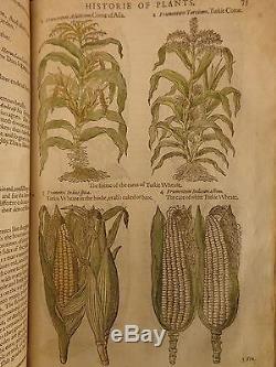 1597 1er John Gerarde Herball Plantes Anglais À Base De Plantes Illustrated Stirpium Botanique