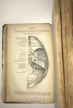 Anatomie Gray Descriptive & Surgical! (première Édition! 1858) Chirurgie Médicale Rare