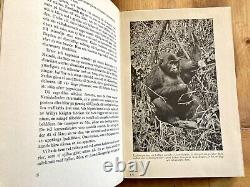 CONGORILLA par MARTIN JOHNSON 1938 LIVRE EN CUIR ANTIQUE SUÉDOIS HC AFRIQUE PYGMÉES