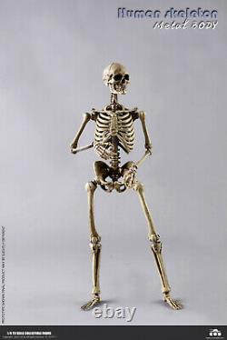 Coomodel 16 Modèle Crâne Du Corps Du Squelette Jeu D'action Figure Doll Collection Bs011