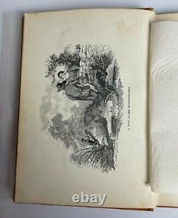 DERNIER DES HUGGERMUGGERS Une histoire géante Première édition Phillips Sampson CRANCH 1856