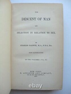 Le Descent De L'homme Volume II Charles Darwin Hc 1871 1ère Édition Américaine Illus -8