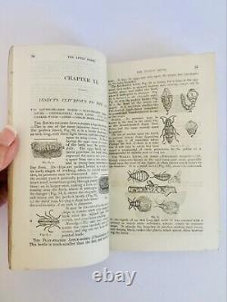 Le cultivateur de fruits pratique 1886 Première édition MAGNIFIQUE & RARE! TB+