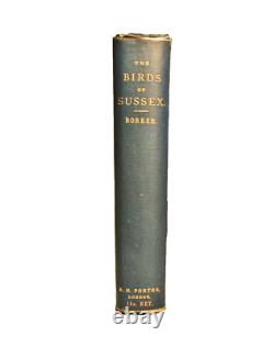 Les Oiseaux du Sussex, William Borrer, 1891, Première édition