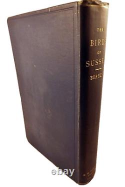 Les Oiseaux du Sussex, William Borrer, 1891, Première édition