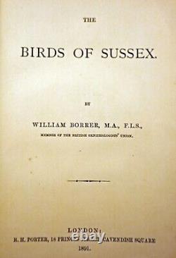 Les Oiseaux du Sussex, William Borrer, 1891, Première édition