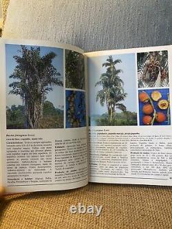 'Palmeiras au Brésil : espèces natives et exotiques' par Harri Lorenzi - 1996