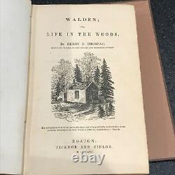 Walden Ou A Life In The Woods Par Henry David Thoreau 1854 Première Édition